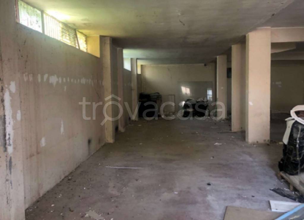 immagine annuncio 6 di 14