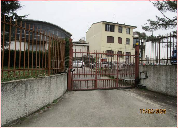 immagine annuncio 9 di 12