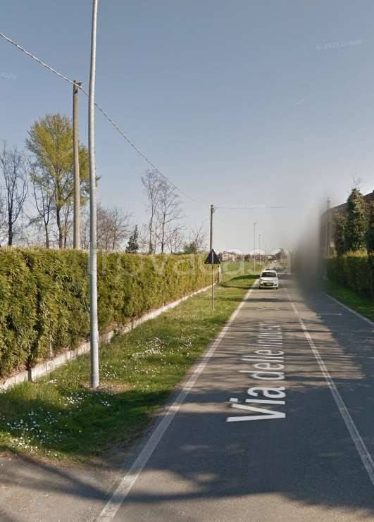 immagine annuncio 7 di 11