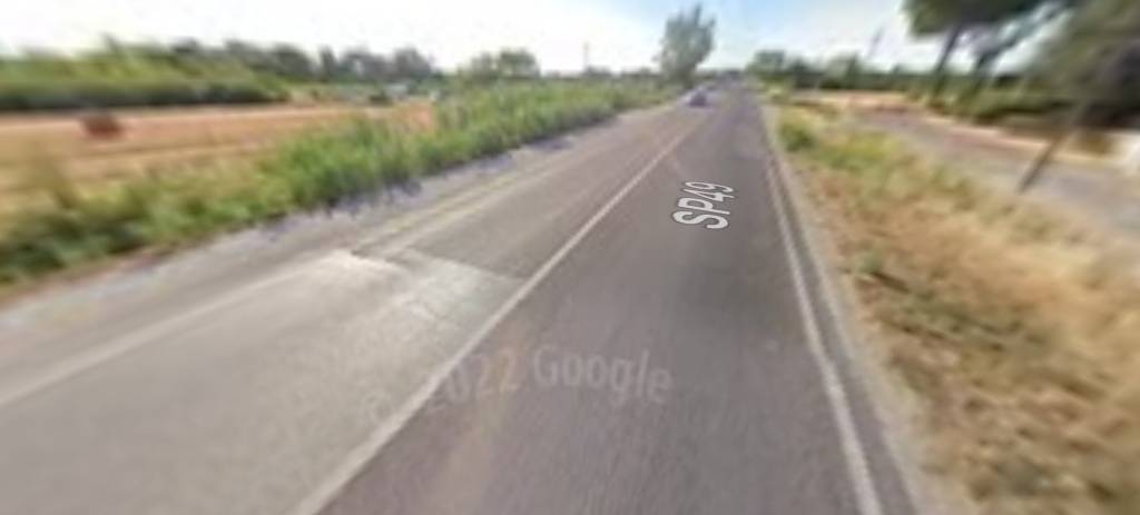 immagine annuncio 9 di 14