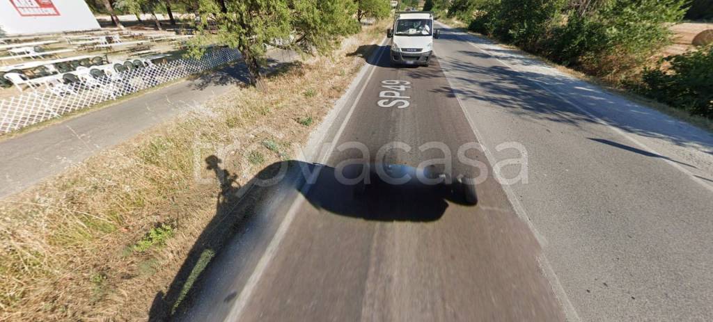 immagine annuncio 12 di 14