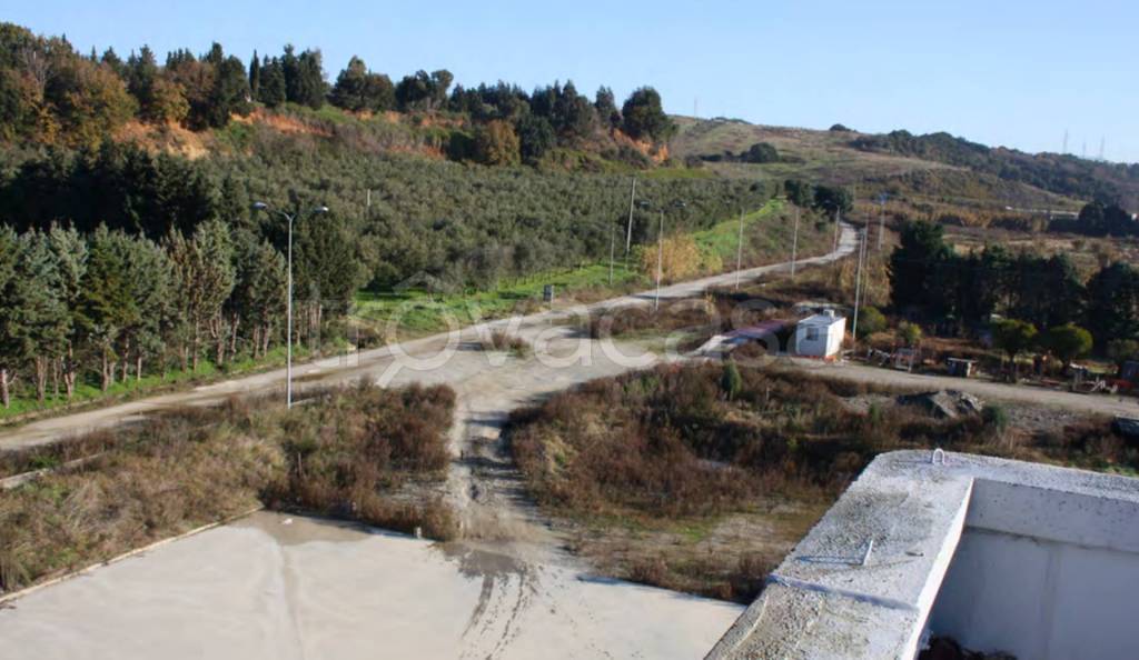 immagine annuncio 5 di 12