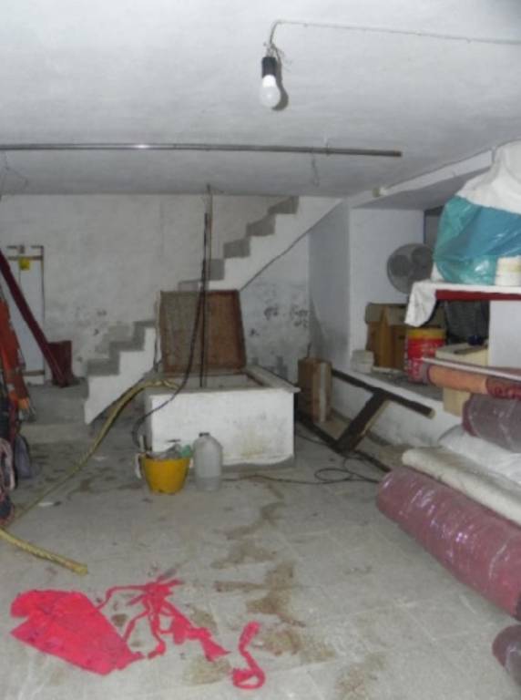 immagine annuncio 9 di 12