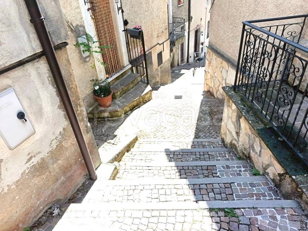 immagine annuncio 11 di 14