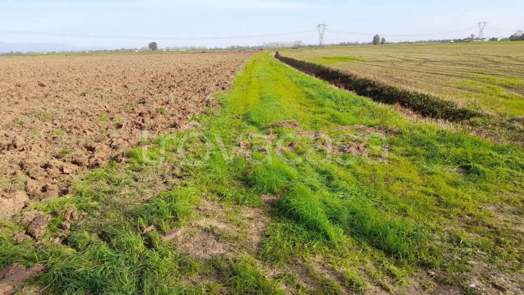 immagine annuncio 6 di 13