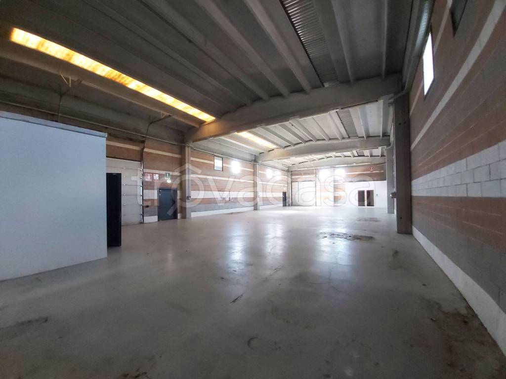 immagine annuncio 4 di 9