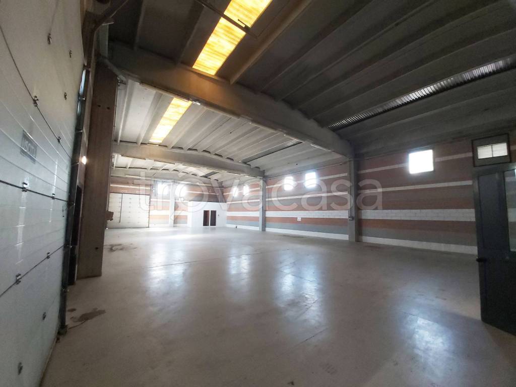 immagine annuncio 5 di 9