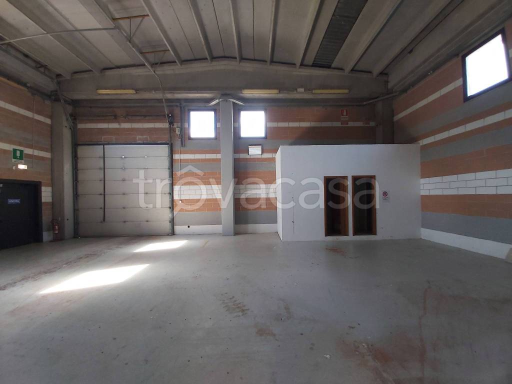 immagine annuncio 6 di 9