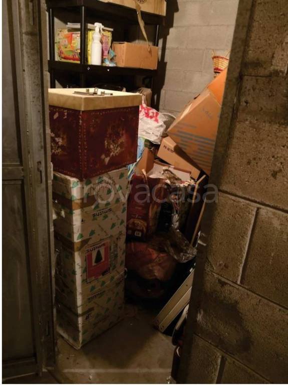 immagine annuncio 12 di 14