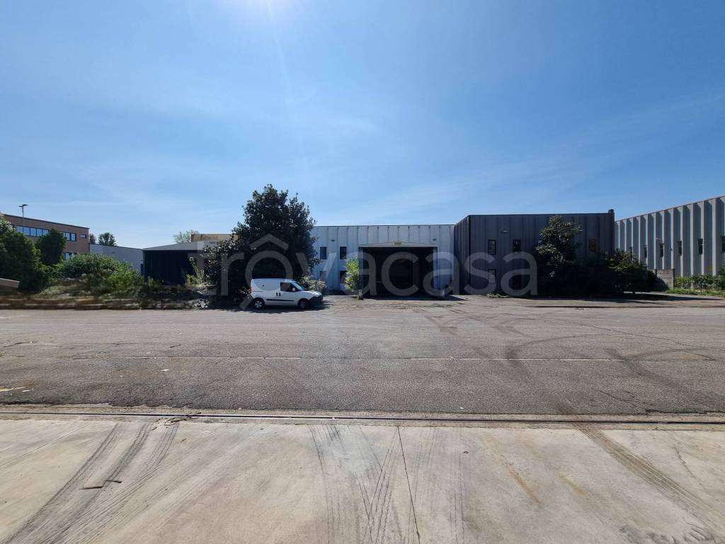 immagine annuncio 4 di 15