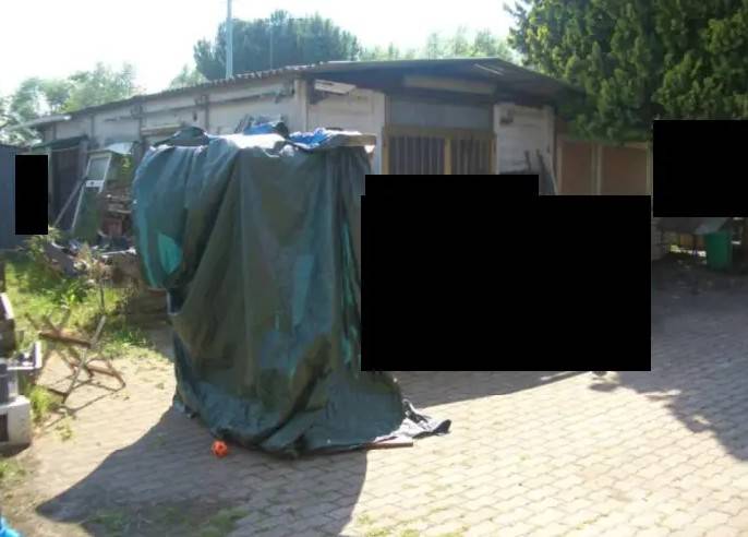 immagine annuncio 12 di 14