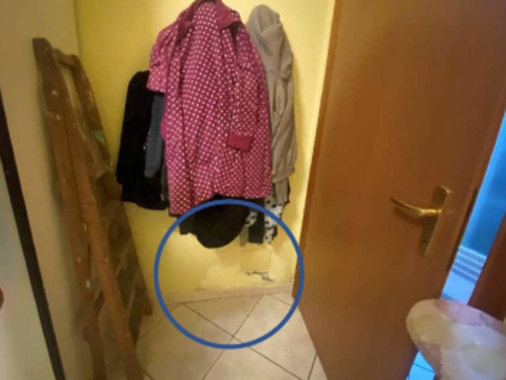 immagine annuncio 8 di 12