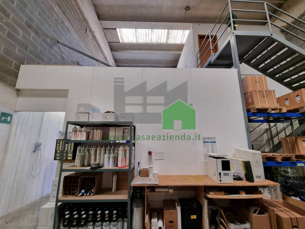 immagine annuncio 9 di 15