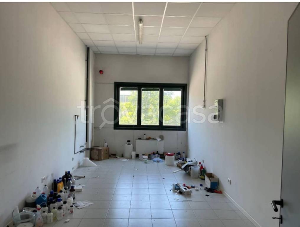 immagine annuncio 3 di 12