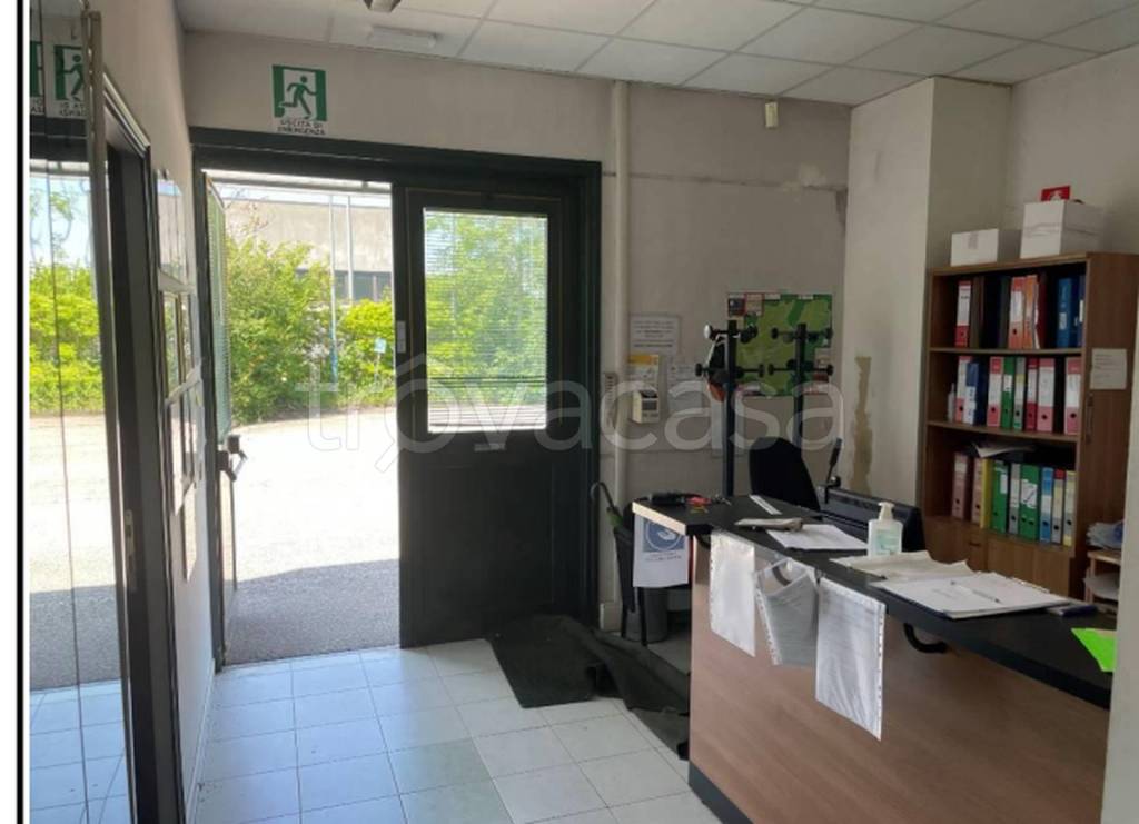 immagine annuncio 6 di 12