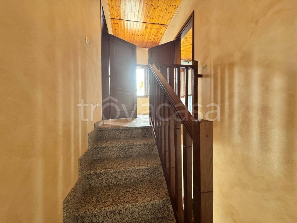 immagine annuncio 9 di 14