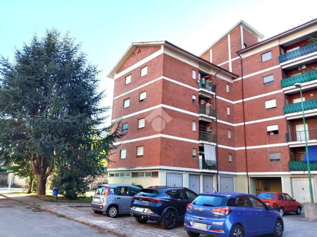 immagine annuncio 2 di 15