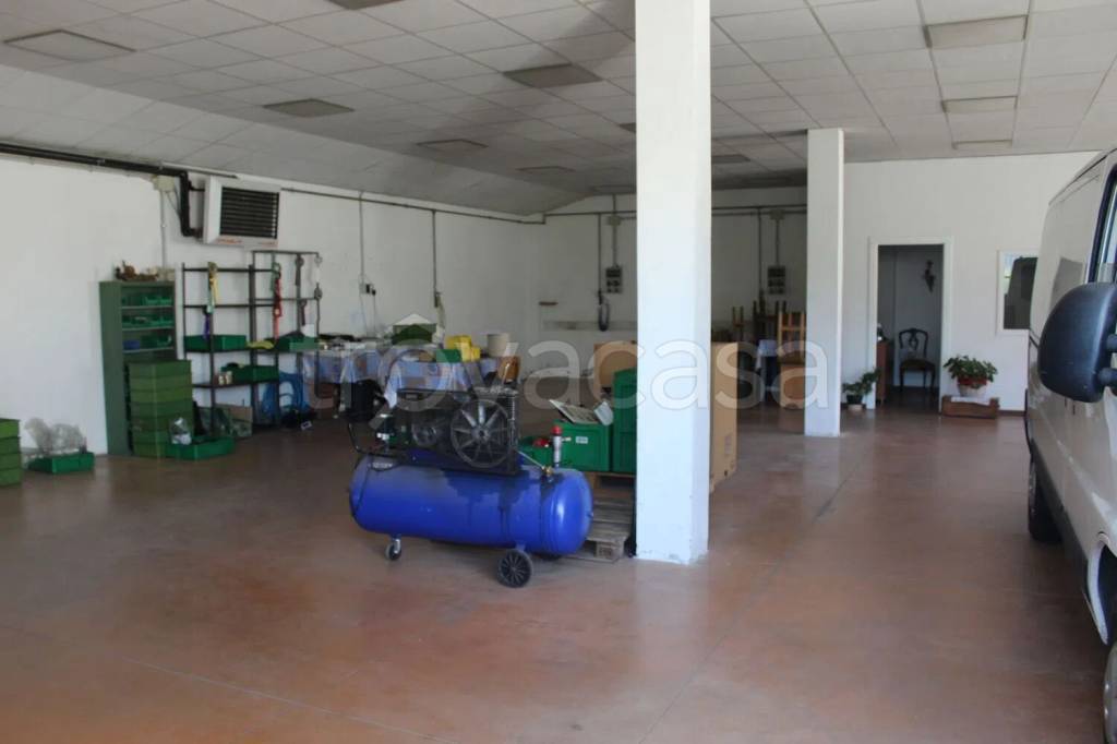 immagine annuncio 3 di 6