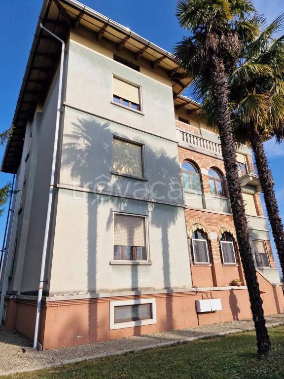 immagine annuncio 1 di 14