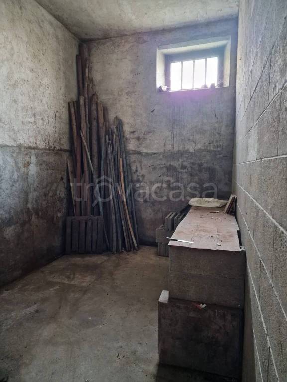 immagine annuncio 11 di 14