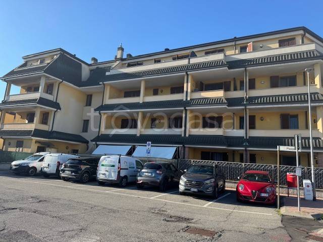 immagine annuncio 1 di 14