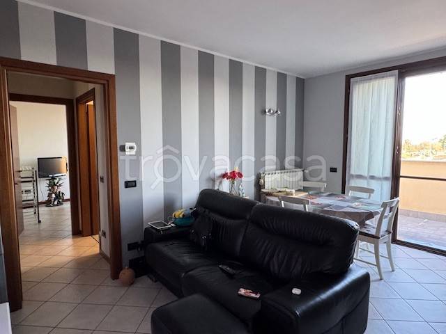 immagine annuncio 3 di 14