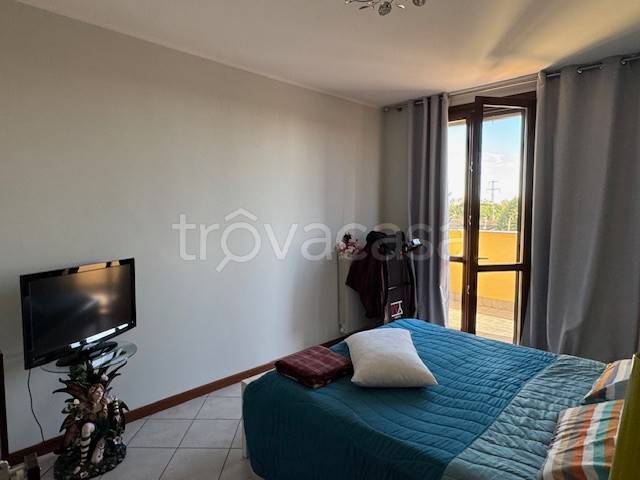 immagine annuncio 9 di 14