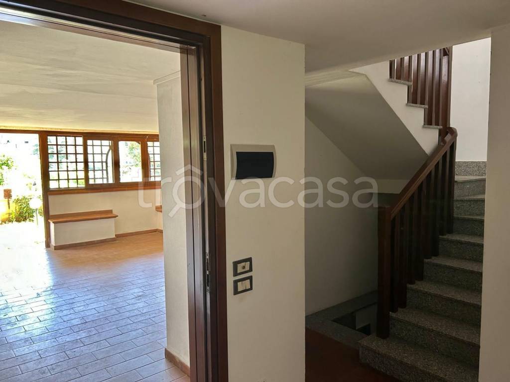 immagine annuncio 4 di 12