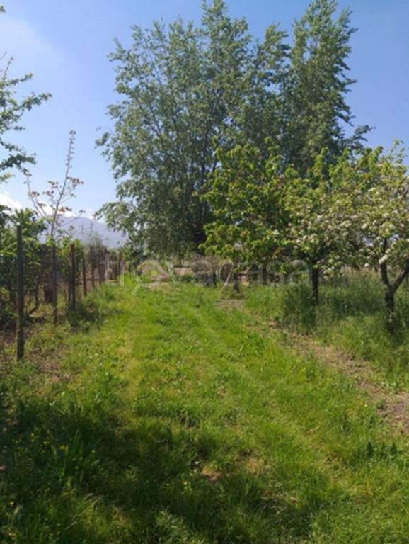 immagine annuncio 4 di 12