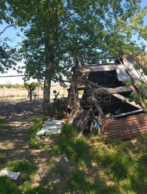 immagine annuncio 5 di 12