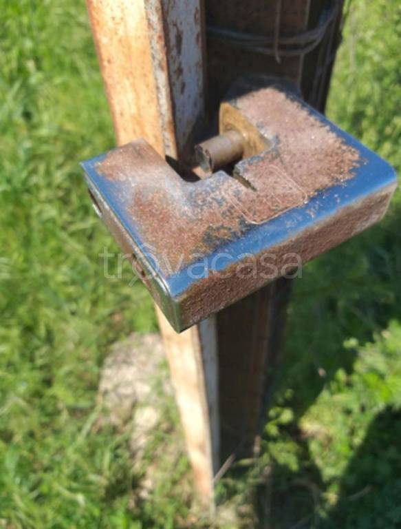 immagine annuncio 6 di 12