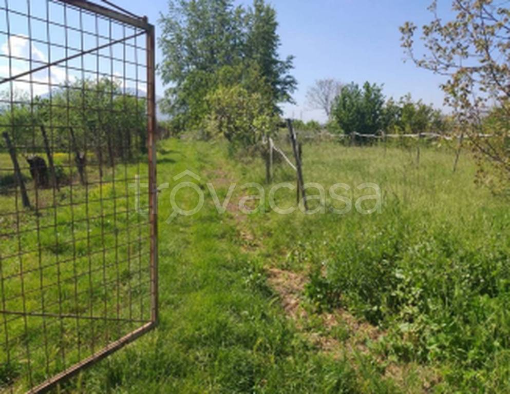 immagine annuncio 7 di 12