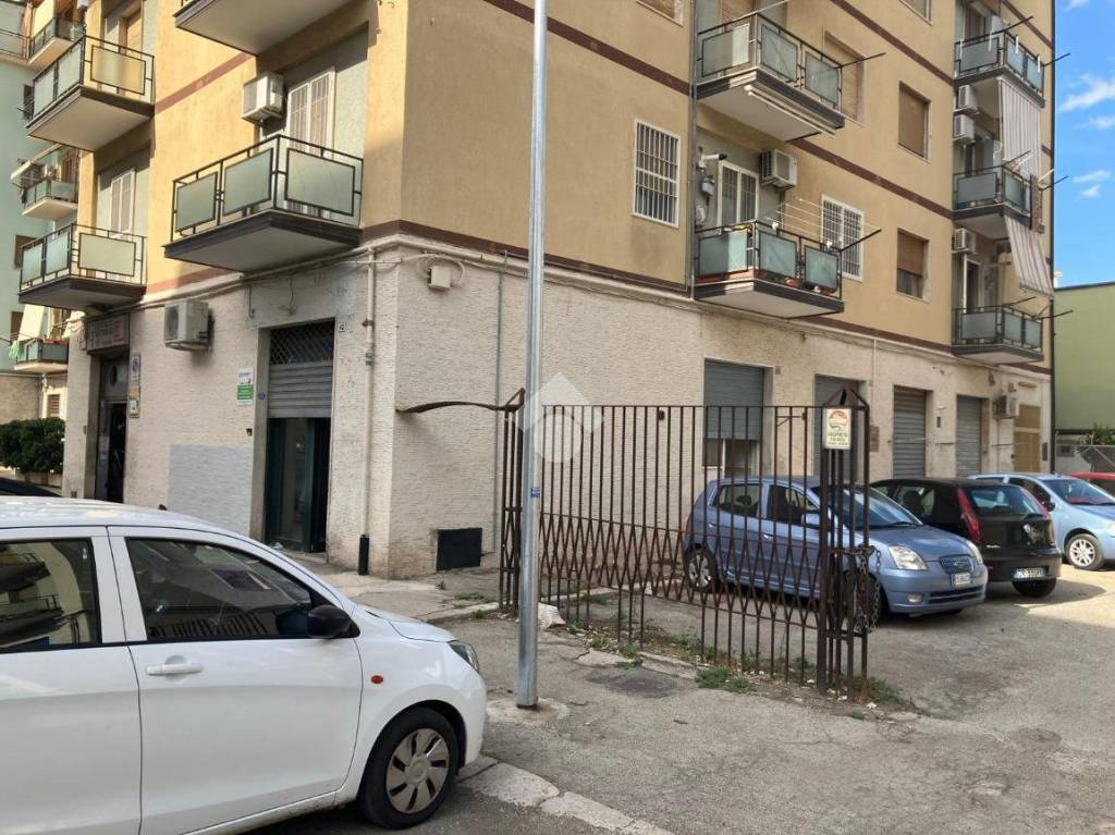 immagine annuncio 9 di 12