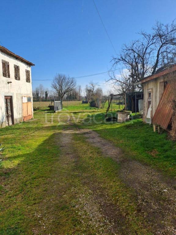 immagine annuncio 4 di 6