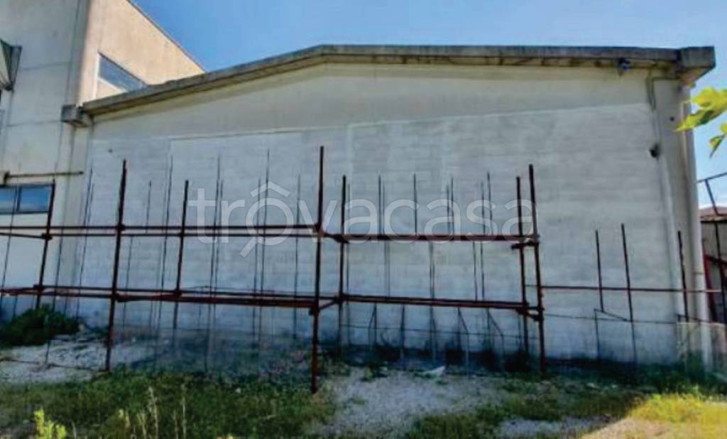 immagine annuncio 7 di 14