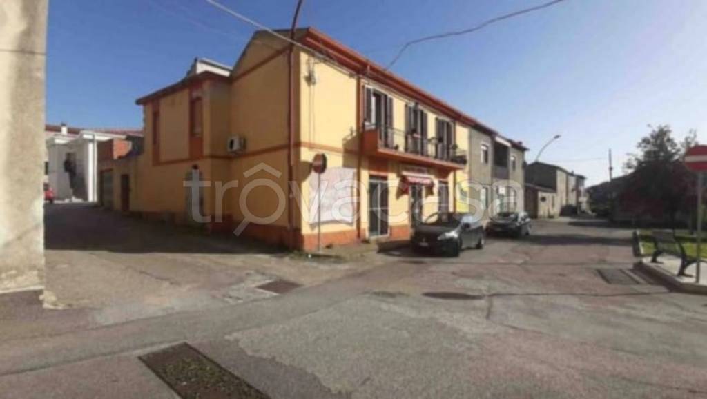 immagine annuncio 9 di 12