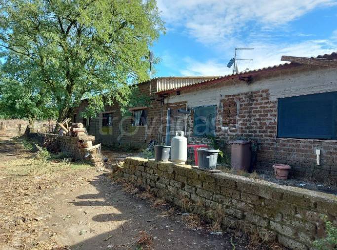 immagine annuncio 6 di 14