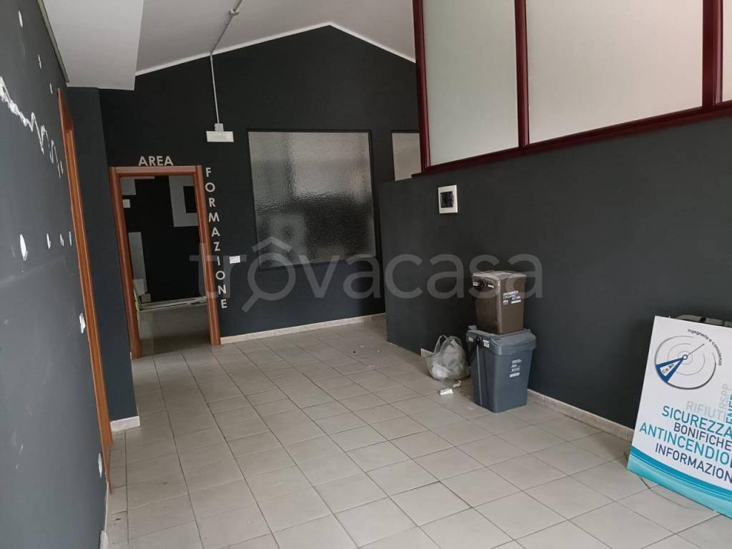 immagine annuncio 10 di 12