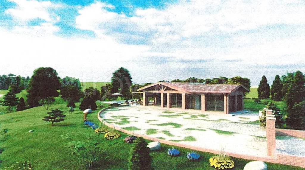 immagine annuncio 4 di 7