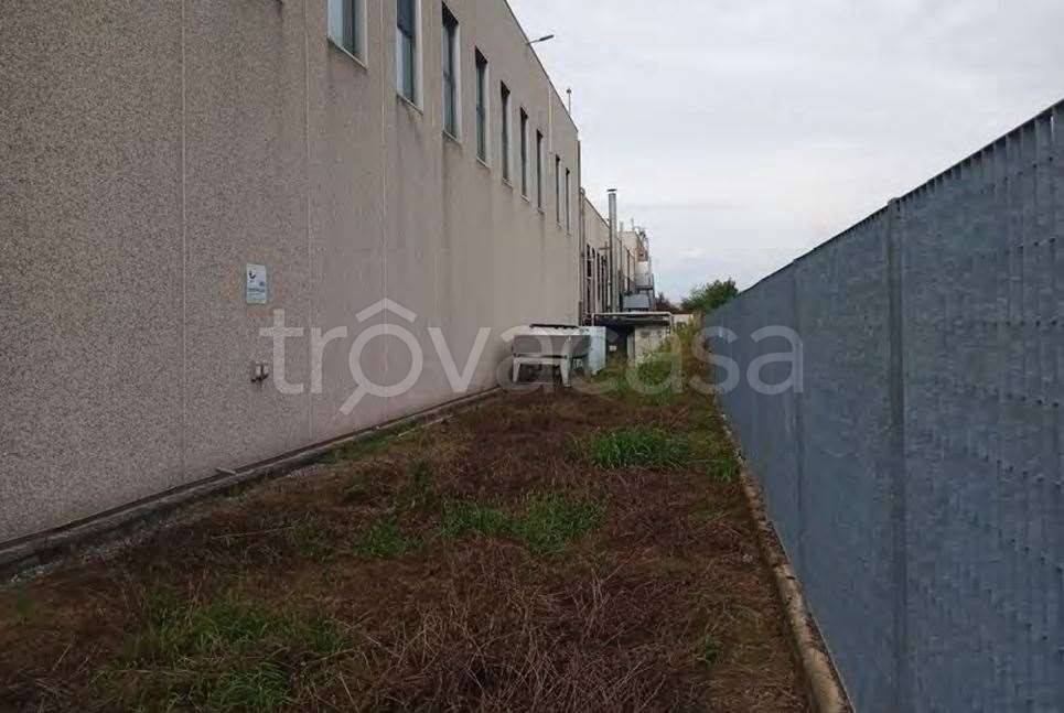 immagine annuncio 7 di 13