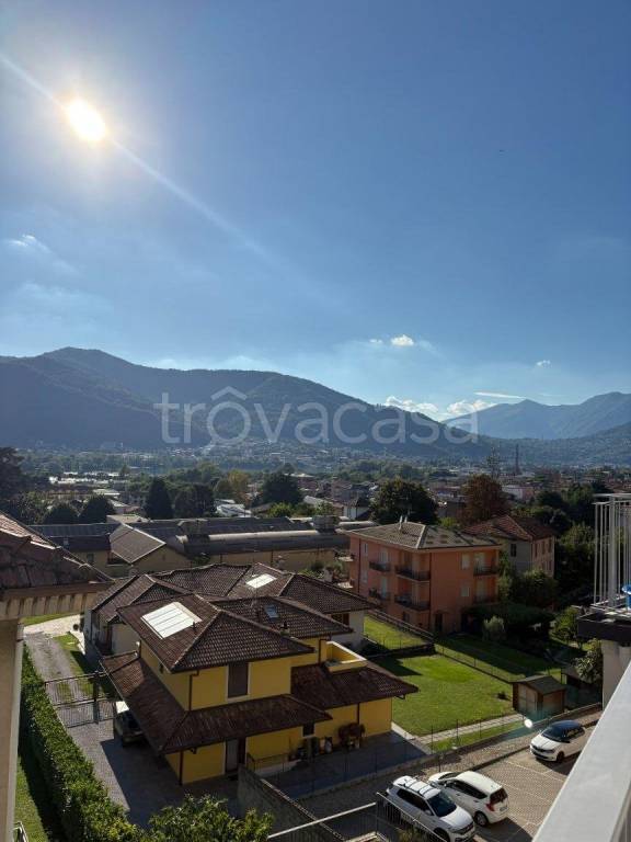 immagine annuncio 7 di 11