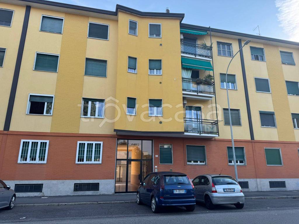 immagine annuncio 12 di 15