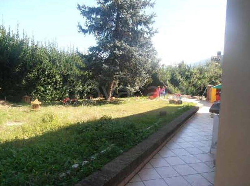 immagine annuncio 6 di 13