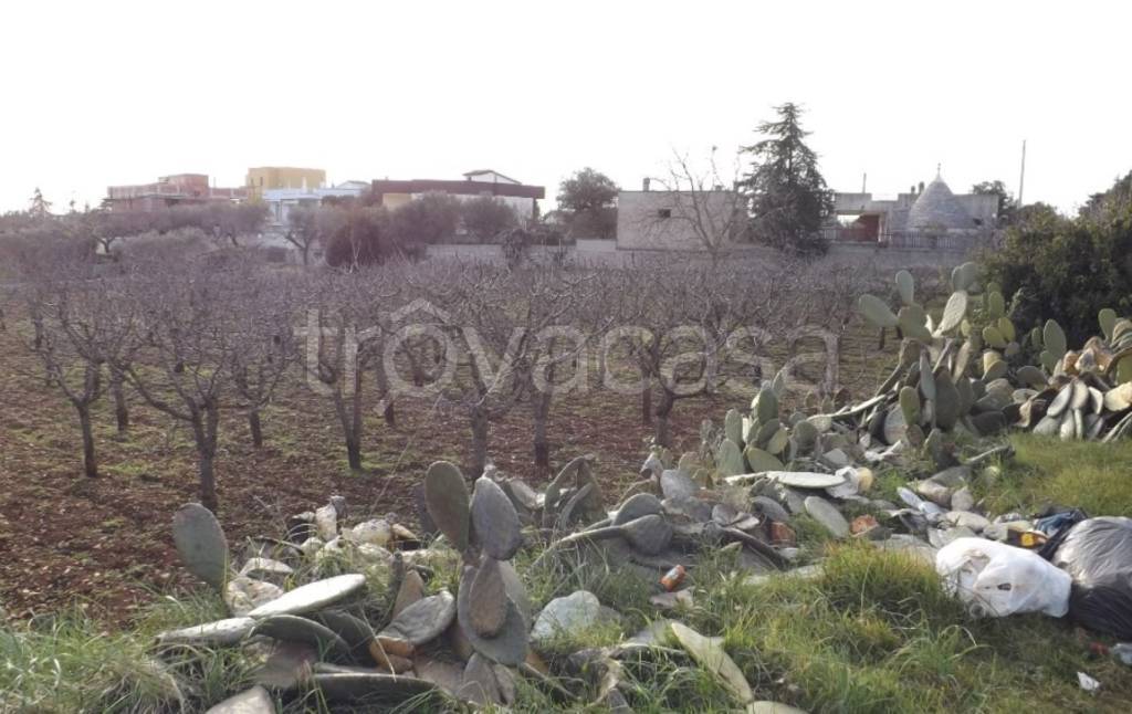 immagine annuncio 1 di 11