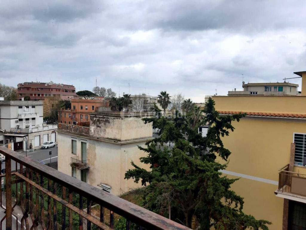 immagine annuncio 10 di 12