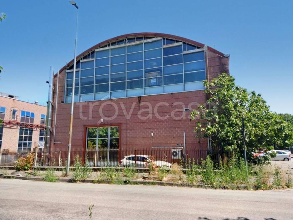 immagine annuncio 6 di 15