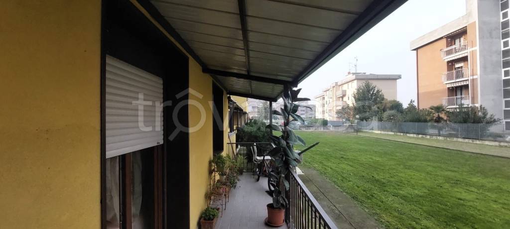 immagine annuncio 9 di 11