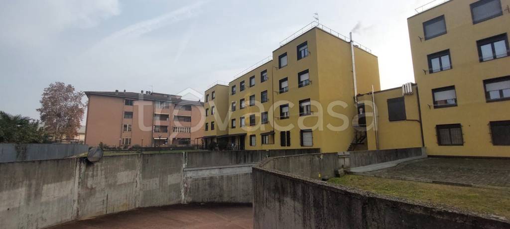 immagine annuncio 1 di 11