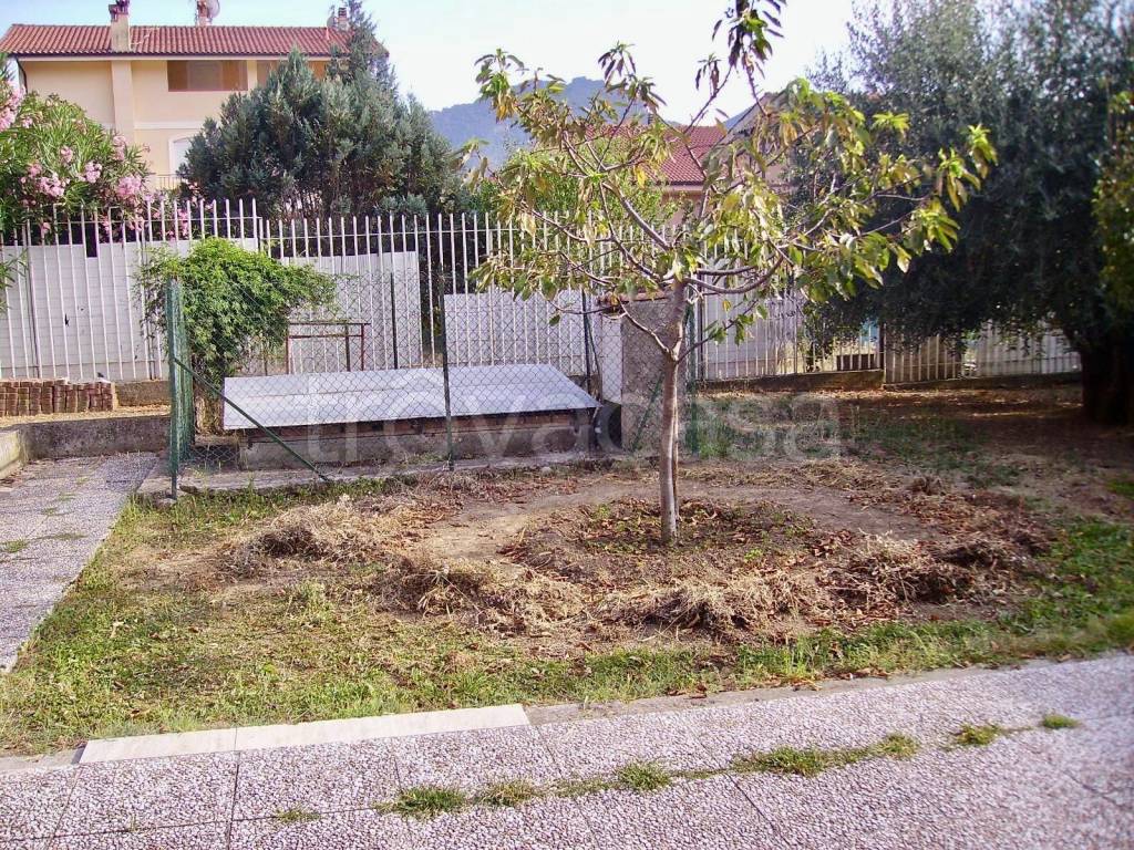 immagine annuncio 2 di 11