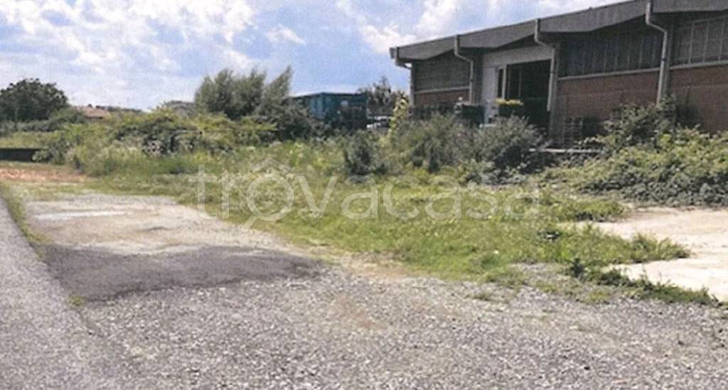 immagine annuncio 2 di 7